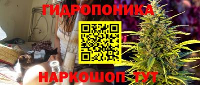прущие крисы Аргун