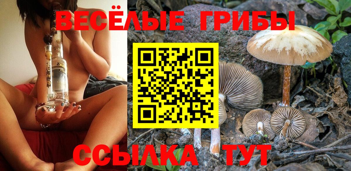 Псилоцибиновые грибы мицелий Аша